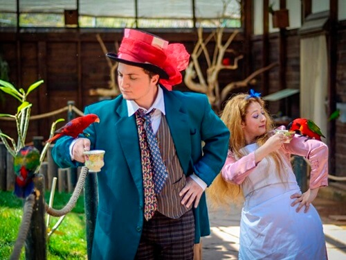 גן גורו ניר דוד